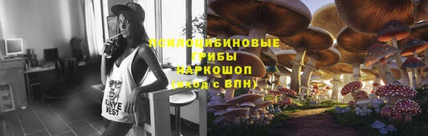 стафф Аркадак