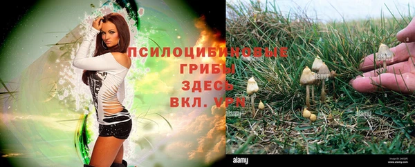 ECSTASY Лихославль