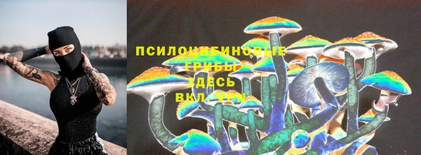 ГАЛЛЮЦИНОГЕННЫЕ ГРИБЫ Арсеньев