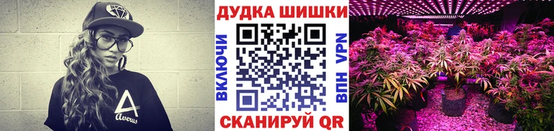 Шишки марихуана Ganja  Жердевка 